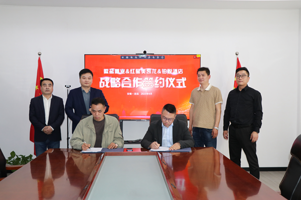 徽盐地产定远项目红星美凯龙商场转型新突破