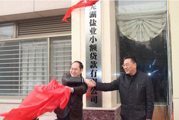 芜湖盐业小额贷款有限公司12月26日举行开业庆典